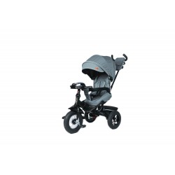 Детский велосипед трехколесный BG1320 Triton Color Gray